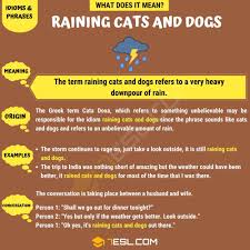 Raining Cats And Dogs How To Use This Popular Term Correctly In 2020 Raining Cats And Dogs Dog Cat Other Ways To Say