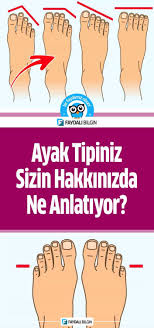 Ilginc Bilgiler Interesting Information Panosundaki Pin