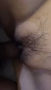 SimTalk, Membership Directory 2023 by American Simmental Publication, Inc -  Issuu