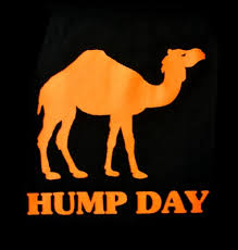 Day­—and in the midst of ongoing social and political turmoil in america—this theme carries new resonance. 50 Beautiful Hump Day Wish Pictures And Images