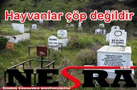 Hayvanlar Cop Degildir Nesra Org