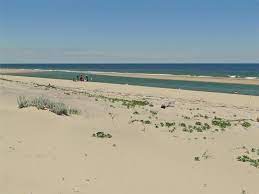 Maybe you would like to learn more about one of these? Head Of The Meadow Truro Cape Cod Weneedavacation Com