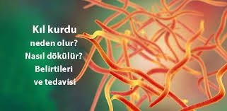 Kil Kurdu Nedir Neden Olur Nasil Dokulur Belirtileri Ve Tedavisi