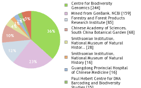 Image result for Zanthoxylum holtzianum