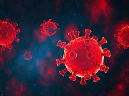Coronaviruses are a group of related rna viruses that cause diseases in mammals and birds. Coronavirus New Coronavirus Variant Found In United Kingdom Here S What We Know Times Of India