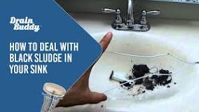 How to Deal with Black Sludge in Your Sink | Drain Buddy ...