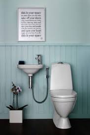 The major reason why electrical disadvantages of electrical energy. Grohe Hygienic Shower Set For Flush Mounted Faucet With Thermostat For Toilet With Watering Can And Faucet Plumbing For Sink