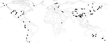 Image result for Stellaria mannii