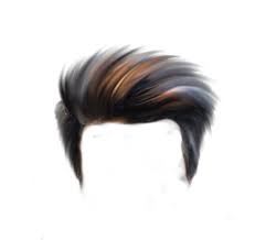 Top 200 Hair Png Download All New Cb Hair Style Png For Picsart Editing Zip Free Download All Type Whatsapp And F Hair Png Photoshop Backgrounds Picsart Png