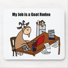Maybe you would like to learn more about one of these? Personalized Goat Rodeo Gifts On Zazzle