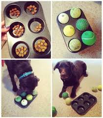 There Are Lots Of Kinds Of Canine Toys Offered For You To Select From So When Searching For An Ideal Toy For Your Dog Boredom Dog Boredom Buster Diy Dog Toys