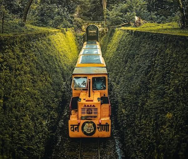 Van Rani toy train: Mumbai's Beloved Toy Train Is Back With Vistadome Views | Outlook Traveller