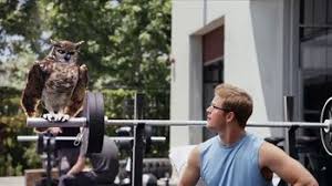 Amphibia and the owl house panel sdcc21: America S Best Contacts And Eyeglasses Tv Commercial Workout Ispot Tv