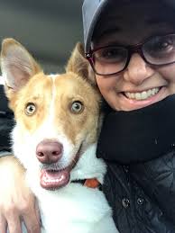 I get to adopt a baby border collie