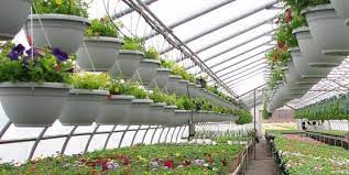 We have reviews of the best places to see in watkins glen. Cornell Cooperative Extension Local Greenhouses Garden Centers