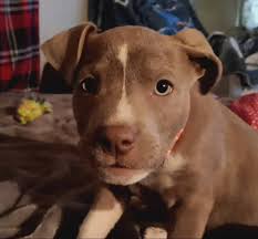 Family members expecting others to solve their problems