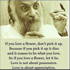 Johnny Novels (@johnny__novels) • Instagram photos and videos