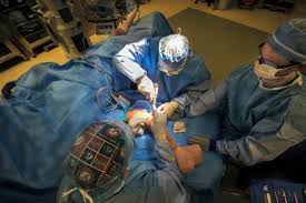 Now, webmd takes a look at the original tommy john surgery that is still used today. This 14 Year Old Wanted An Alternative To Tommy John So He Went To Alabama The Boston Globe