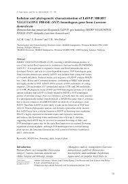 Grow your wealth at low risks and guaranteed high the short answer to the question is: Pdf Isolation And Phylogenetic Characterisation Of Ldsvp Short Vegetative Phase Svp Homologous Gene From Lansium Domesticum