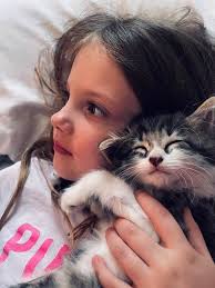 Lost Tabby Cat in Binbrook, Ontario, Found with Help from Local Children