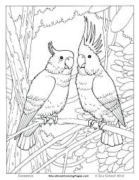 Laura Ingalls Wilder Coloring Pages Download Laura Ingalls Wilder Coloring Pages Bi Desenhos Para Colorir Adultos Animais Para Colorir Desenhos Para Coloriri