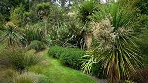 Flaxmere Garden Website New Zealand Natives Garden Landscape Design Native Garden Landscape Design