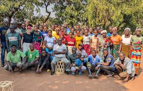 Image result for Viridivia suberosa