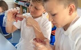 Lucy and Sara's Story