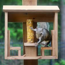 Maybe you would like to learn more about one of these? Squirrel Corn Cob Feeder Diy Gray House Studio