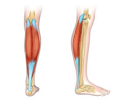 Training my calves muscle isn't at the top of my list of favorite body parts to workout. 10 Best Calf Workouts And Exercise Moves To Grow More Muscle