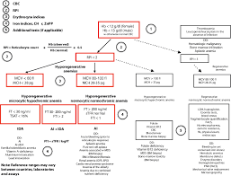 Iron Deficiency Or Anemia Of Inflammation Springerlink