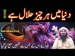 Is octopus is halal in islam? Octopus Islam Mai Halal Hai Very Informative Video About Halal Haram Abu Saif Al Ehsaan Tv Youtube