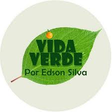 Por isso que hoje, eu, diniz vieira, vou te conduzir nesta meditação guiada de 8 minuto. Diniz Vieira Youtube Stats Channel Statistics Analytics
