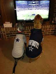 This Is So Cute Dallas Cowboy Dc4l Dallas Cowboys Dog Dallas Cowboys Fans Dallas Cowboys Football