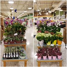 It is full of her favourite flowers, most especially varieties of tulips and poppies. Not An Expert Floral Worker But Pretty Proud Signage Missing Ik Publix