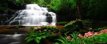 Obituary Of Peter D Walsh Hickey S Funeral Home