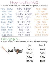 Homophones And Homographs Anchor Chart Jungle Academy Homophones Words Learn English Vocabulary English Writing