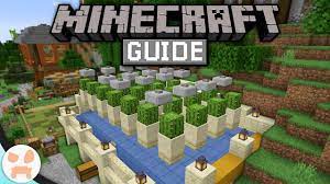 Cactus farms are useful for acquiring green dye by smelting the cactus blocks. Auto Cactus Farm The Minecraft Guide Minecraft 1 14 4 Lets Play Episode 76 Youtube
