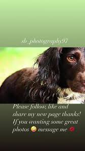 #Please #followus #likeforlikes #and #share #my #new #page #Thanks #you  #beautiful #Amazing #people #sb_ photography Sb_ photography #love #photos  #capture #the #moment #you #need #photoshoot #Message ...