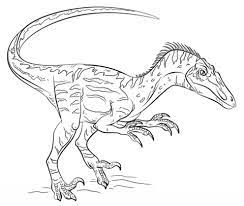 velociraptor dinosaur coloring pages drawing coloriage de plan salle bain bricolage