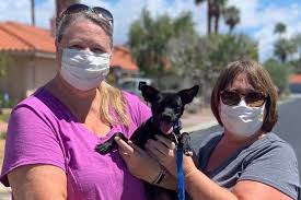 You can browse thousands of adoptable pets near you at www.adoptapet.com! Pets Provide Companionship Consider Adopting A Pet Who Needs You