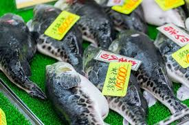Sebuah jalan raya yang dibangun di atas lansekap yang sebenarnya bukan untuk dijadikan sebuah jalan, pasti menyimpan banyak potensi terjadinya kecelakaan. Apa Itu Ikan Buntal Ikan Mahal Yang Beracun Halaman All Kompas Com
