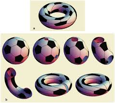 Welcome to the official chelsea fc website. The Topology And Combinatorics Of Soccer Balls American Scientist