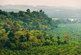 The place similarly goes by the name of bukit cahaya sri alam, while the forested areas spare itself is named bukit cerakah forest reserve. Ferrero Group Corporate Website