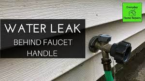 Faucet where a leak from an outside faucet appears to have no apparent cause, it may be due to the components within the faucet unit itself. How To Fix A Water Leak In The Anti Siphon Valve Of An Outdoor Faucet Youtube
