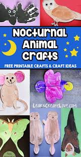 Nocturnal Animals Craft Round Up Nocturnal Animals Animal Crafts Animals