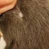 Here are some common reasons for excessive licking in cats and what you can do to help. 3