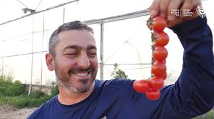 חג שבועות שמח ממועצה אזורית גזר