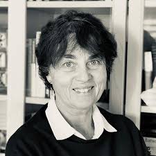 Edna O'Brien: 'New Critical Perspectives': 229 (Carysfort Press Ltd.) :  O'Connor, Maureen, Laing, Kathryn, Mooney, Sinead: Amazon.co.uk: Books