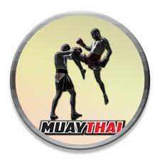 Muay thai fighting origins full apk hile indir. Muay Thai Apk 3 1 Download Apk Latest Version